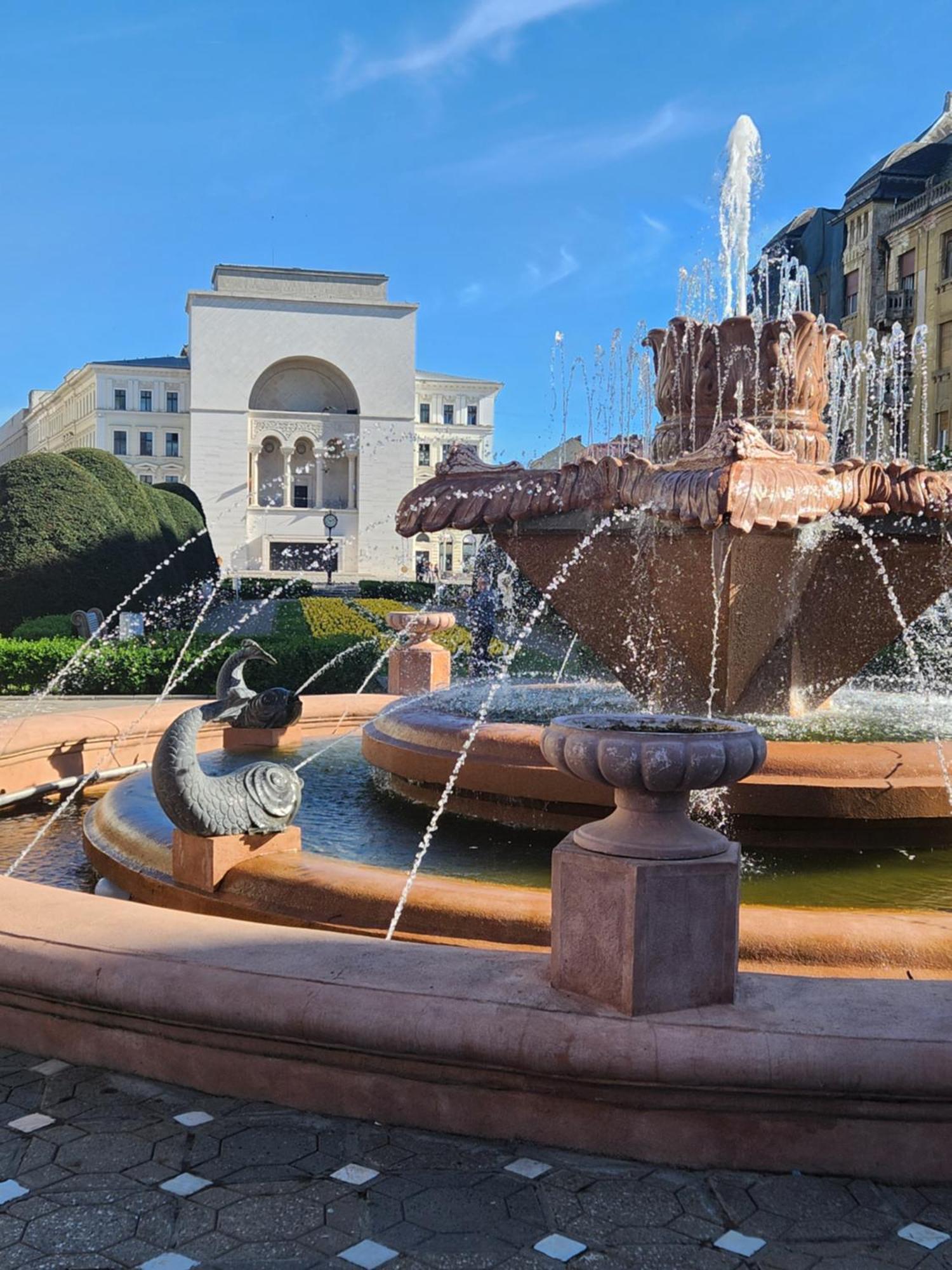 Central Terrace Escape With Jacuzzi ทิมิชัวรา ภายนอก รูปภาพ